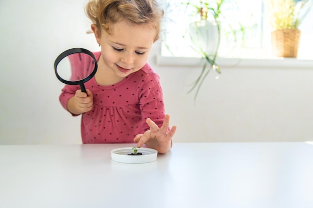 Un niño examina una planta bajo una lupa Enfoque selectivo