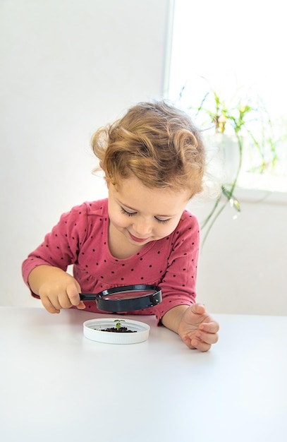 Un niño examina una planta bajo una lupa Enfoque selectivo