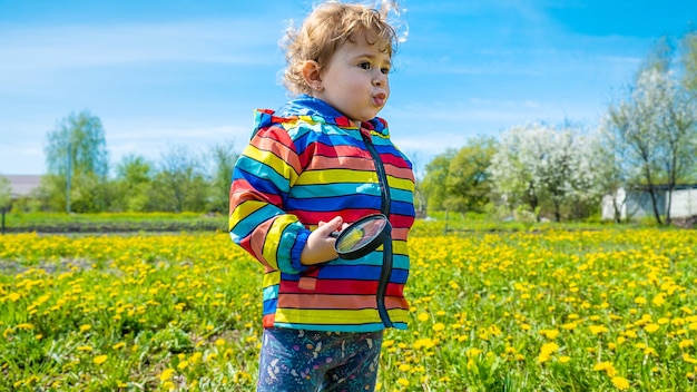 Un niño examina las plantas con una lupa Enfoque selectivo