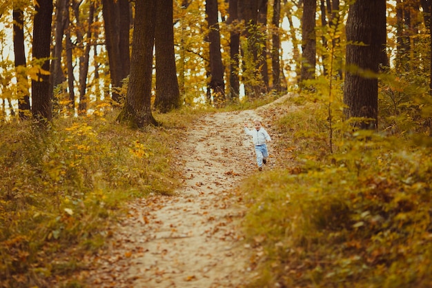 Niño feliz caminando en el parque otoñal