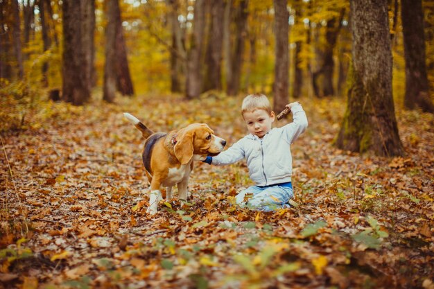 Niño feliz caminando con su perro beagle en el parque. Vista desde atrás