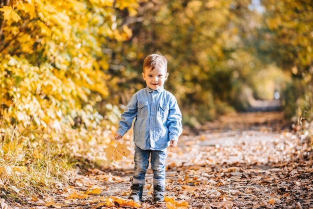 Niño feliz jugando con hojas amarillas de otoño al aire libre en el parque