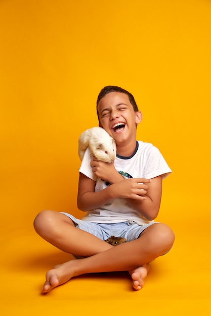 Niño feliz jugando con lindos conejillos de Indias