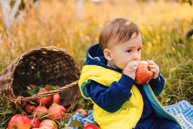 Niño feliz con manzana en el jardín