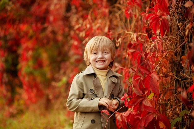 Niño feliz en el parque en otoño