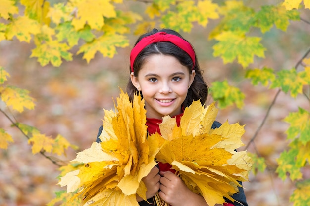 Niño feliz puñado de hojas de arce amarillas en el parque, tiempo de caída.