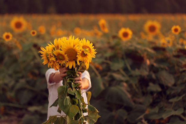 Niño feliz con el ramo de girasoles hermosos en campo del girasol del verano en puesta del sol.