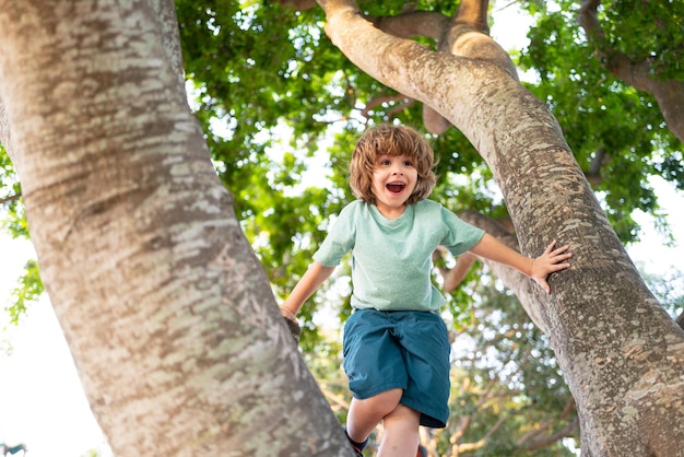 Niño feliz sentado en lo alto de un árbol.