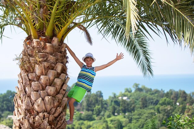 Un niño feliz subió a una palmera tropical y agitó su mano