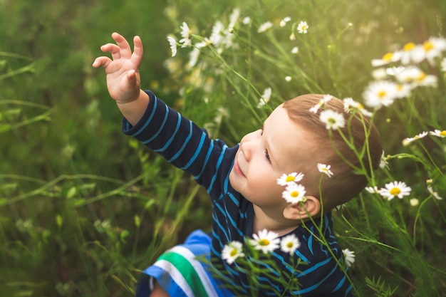 niño entre flores de margarita