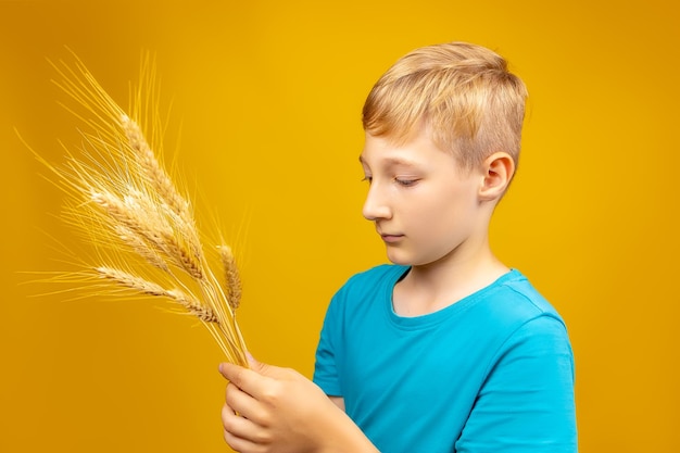 Un niño de fondo amarillo se para de lado y sostiene espigas de trigo frente a él.