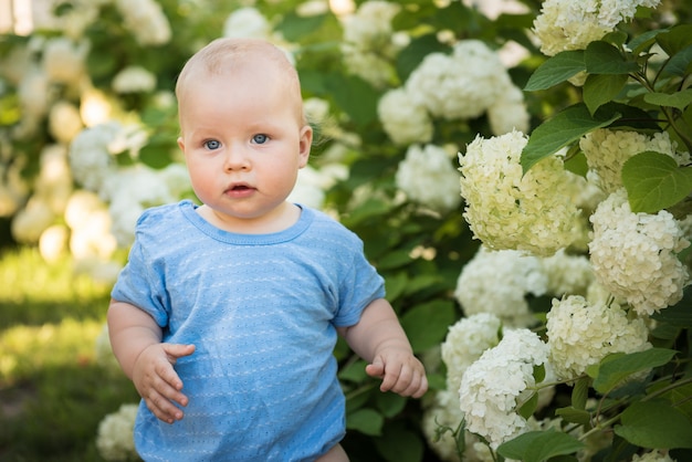 El niño en el fondo de grandes flores blancas