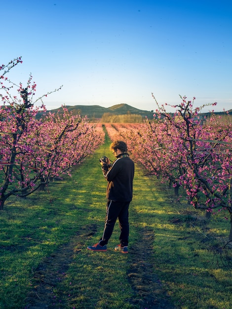 Foto niño fotografiando la floración en los campos de durazno al atardecer. aitone lérida españa