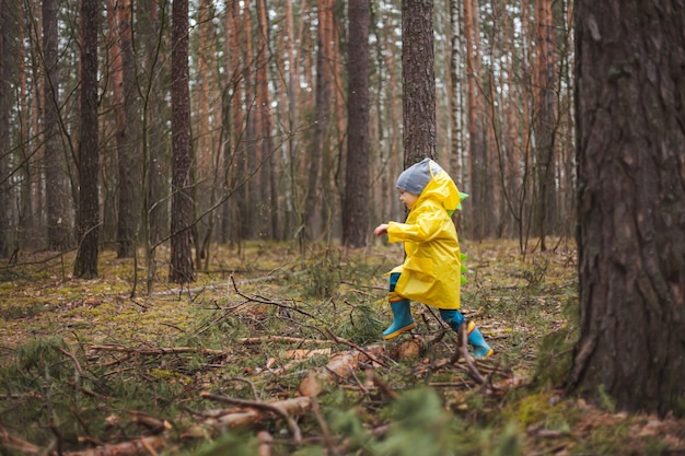 Niño de la gabardina amarilla camina en el bosque después de la lluvia y la diversión