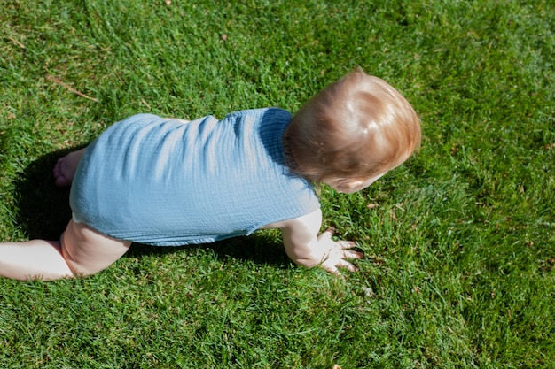 El niño gatea aprende a gatear sobre la hierba verde en el parque en verano