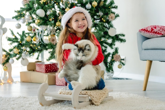 Niño con gato ragdoll en Navidad