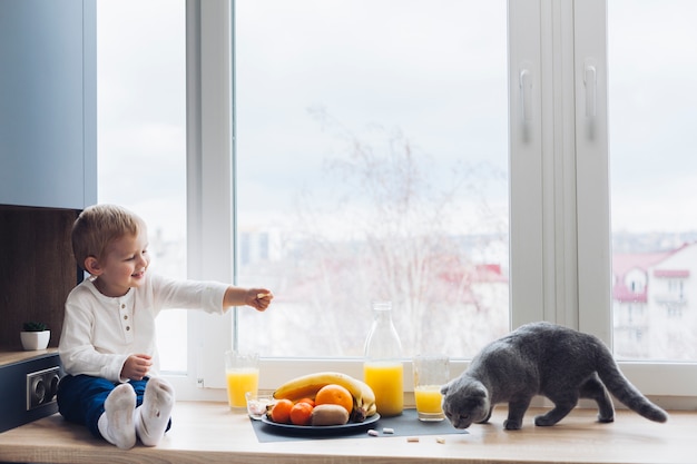 Foto niño y gato