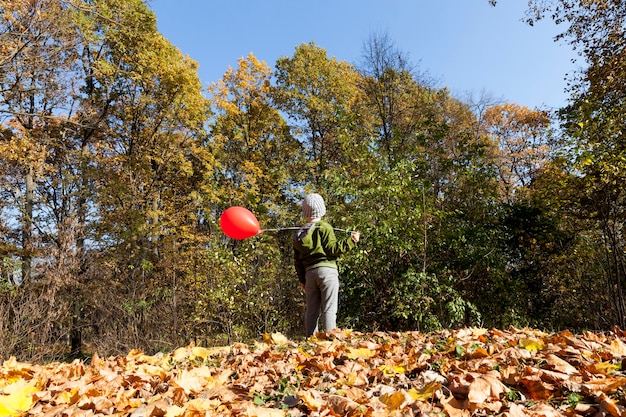 Niño con globos durante un paseo por un colorido parque en otoño