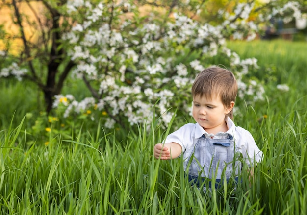 Niño gracioso con un mono azul de moda con expresivos ojos azules. Cute sonríe y come hierba verde fresca en un gran jardín de flores en la hierba alta.