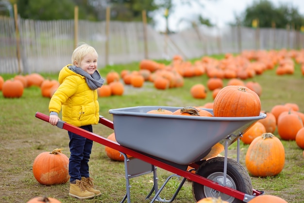 Foto niño en una granja de calabazas en otoño