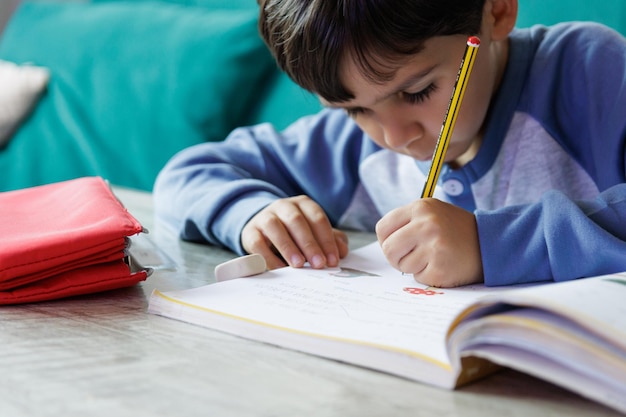 Niño haciendo la tarea en casa