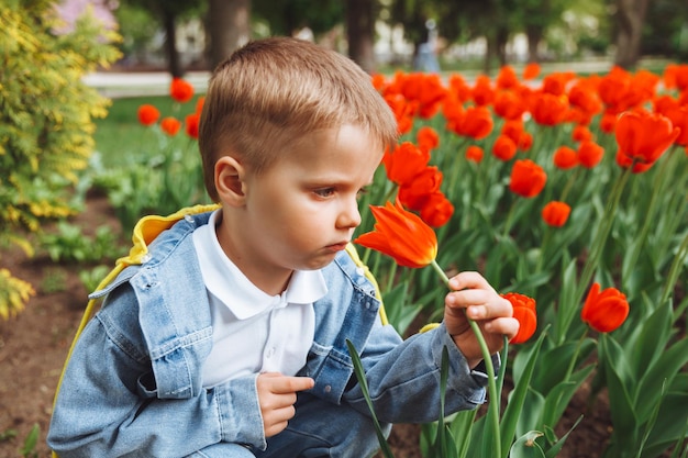Un niño huele una flor de tulipán en el parque en un lecho de flores de primavera con tulipanes