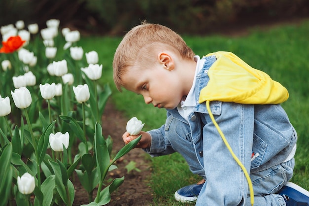 Un niño huele una flor de tulipán en el parque en un lecho de flores de primavera con tulipanes