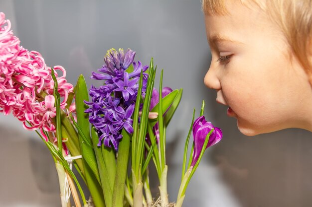 Un niño huele flores de jacinto y azafrán de cerca