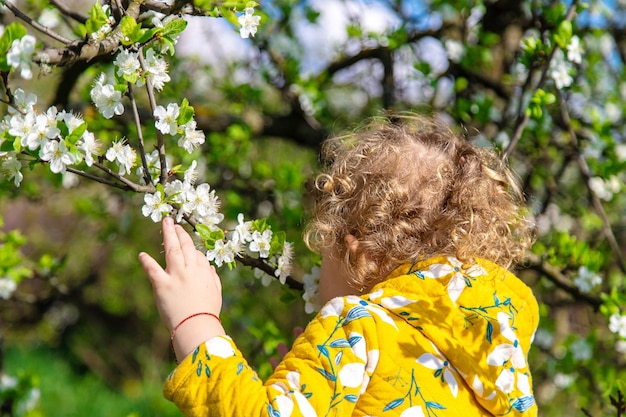 Un niño en el jardín huele un árbol de primavera floreciente Enfoque selectivo