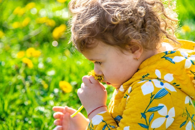 Un niño en el jardín huele dientes de león florecientes en primavera Enfoque selectivo