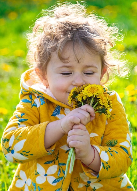 Un niño en el jardín huele dientes de león florecientes en primavera Enfoque selectivo