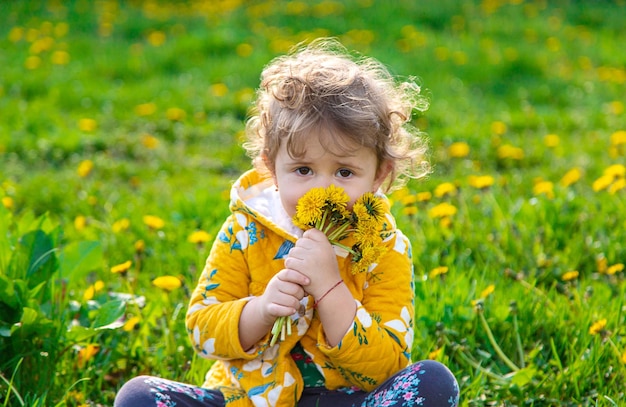 Un niño en el jardín huele dientes de león florecientes en primavera Enfoque selectivo