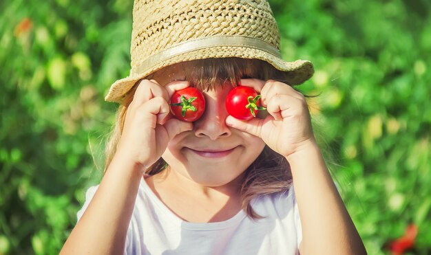 Un niño en un jardín con tomates.