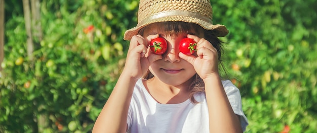 Un niño en un jardín con tomates.