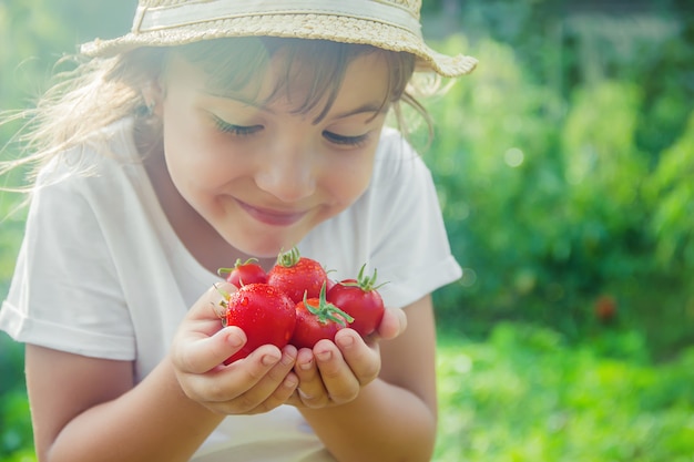 Un niño en un jardín con tomates.