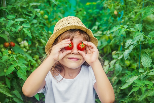 Un niño en un jardín con tomates.