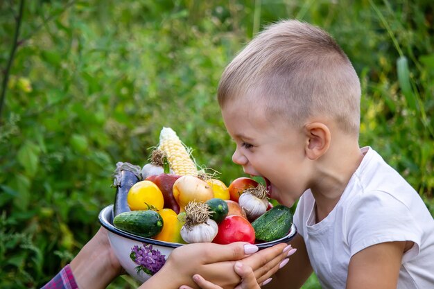 Niño en el jardín con verduras en sus manos Enfoque selectivo