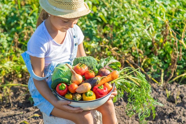 Niño en el jardín con verduras en sus manos. Enfoque selectivo.