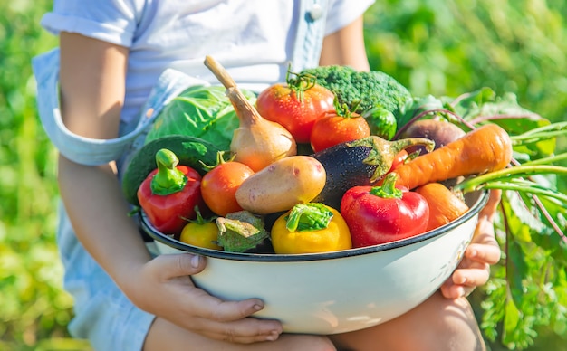 Niño en el jardín con verduras en sus manos.