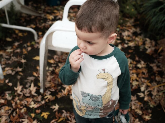 Niño joven jugando en el patio trasero en un día cálido a finales de otoño