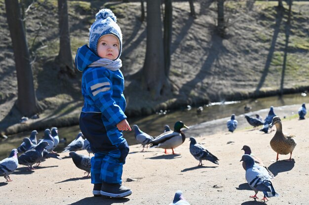 Niño juega en la calle con palomas. niño y palomas.