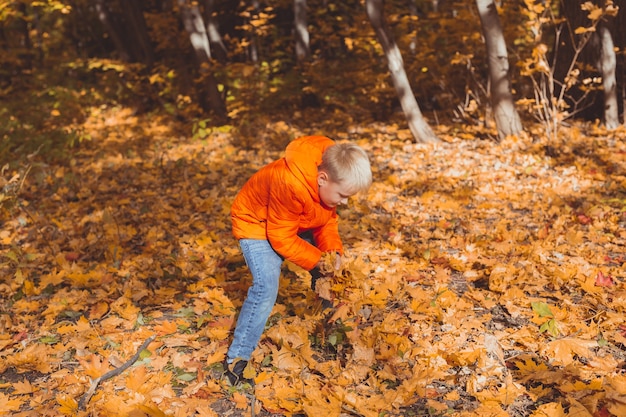 Niño juega con hojas caídas sobre un fondo de paisaje otoñal. Concepto de infancia, otoño y naturaleza.