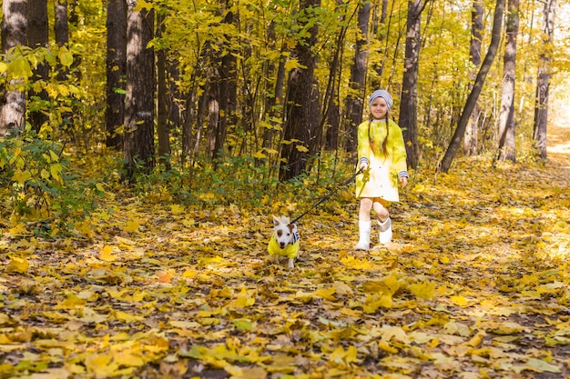 El niño juega con Jack Russell Terrier en el bosque de otoño