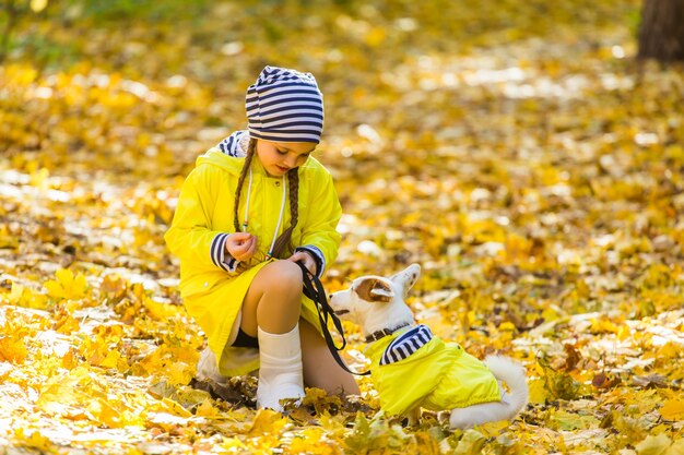 El niño juega con Jack Russell Terrier en el bosque de otoño