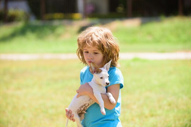 El niño juega con el perrito chihuahua, juegos divertidos mixtos para perros con mascotas en casa en vacaciones de verano