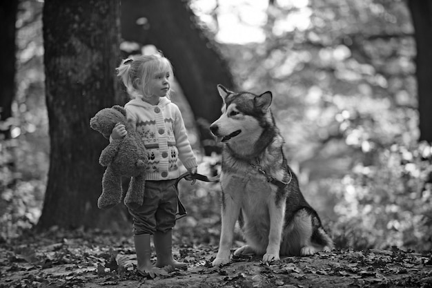 Niño juega con perro en el bosque de otoño