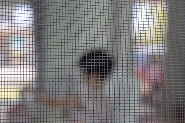 Niño jugando dentro de la casa bajo mosquitero