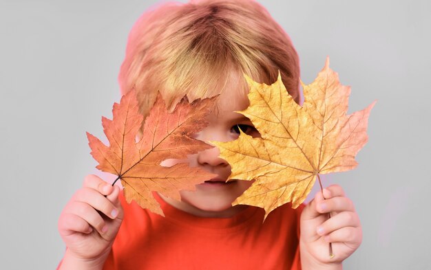 Niño jugando con hojas de arce. Infancia feliz. Otoño. Niño con hoja amarilla.