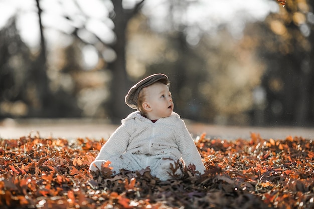 Niño jugando en el parque de otoño Niños lanzando hojas amarillas Niño con hojas de roble y arce Hojas de otoño