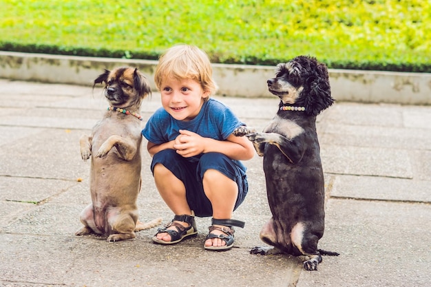 Foto un niño está jugando con perritos.